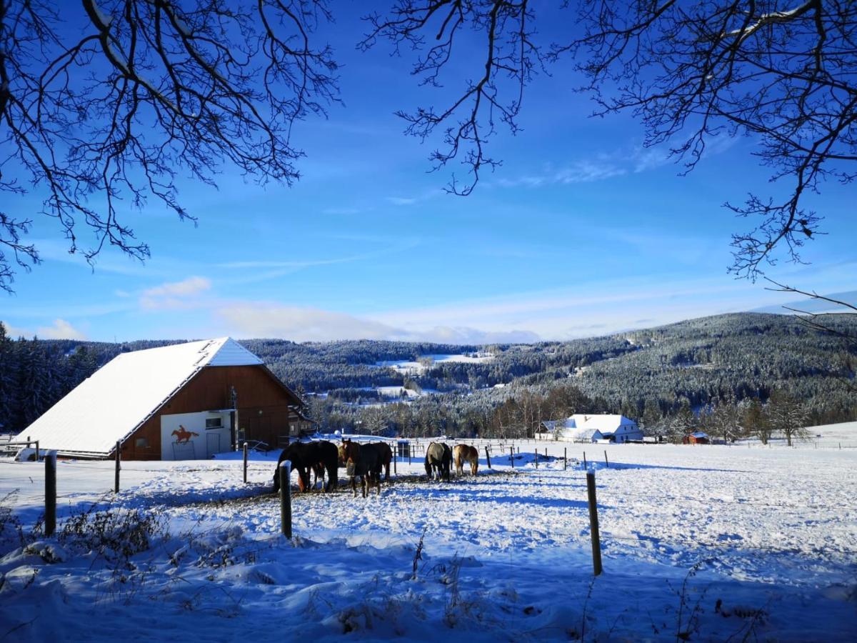 Sumava * Zdikov